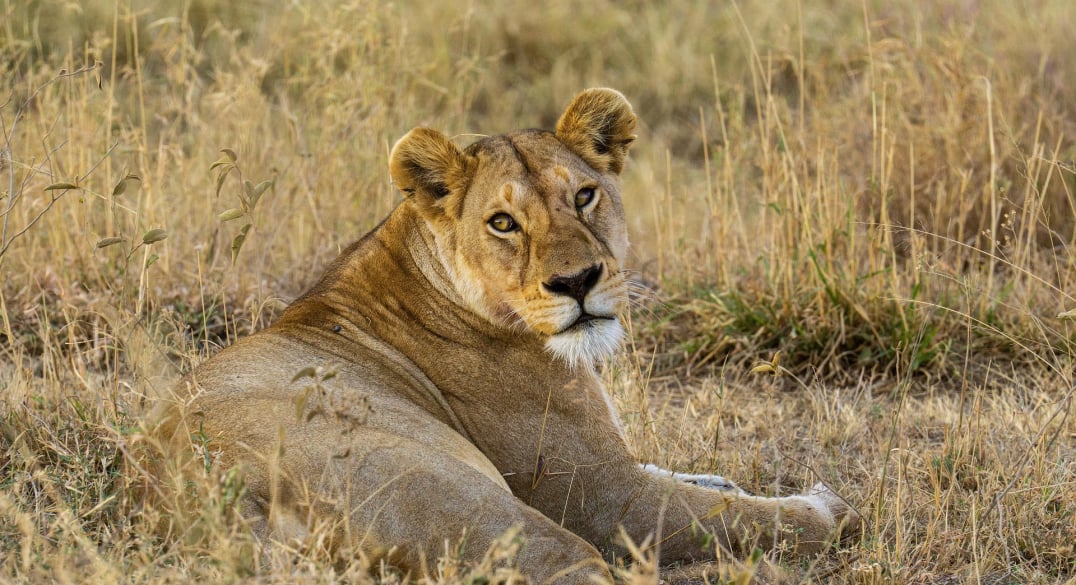 Serengeti National Park